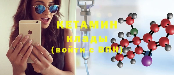 шишки Бабаево