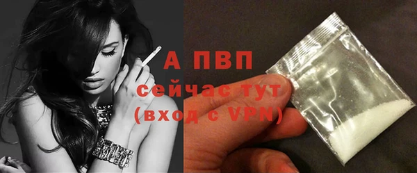 шишки Бабаево