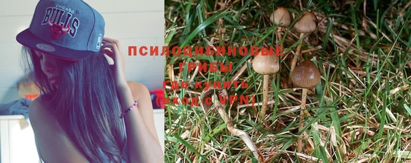 шишки Бабаево