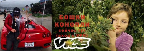 PSILOCYBIN Абаза