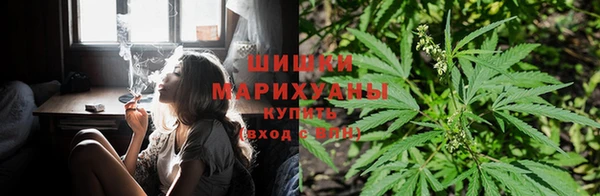 PSILOCYBIN Абаза